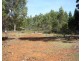 30 Lorikeet Lane, Rosevale TAS 7292