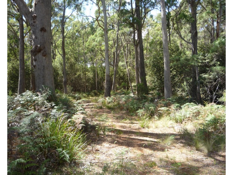 30 Lorikeet Lane, Rosevale TAS 7292