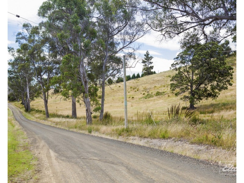 105 Hjorts Road, Loira TAS 7275