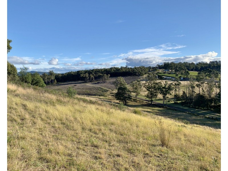 105 Hjorts Road, Loira TAS 7275