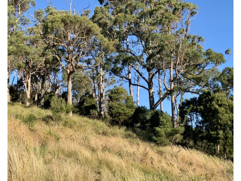 105 Hjorts Road, Loira TAS 7275