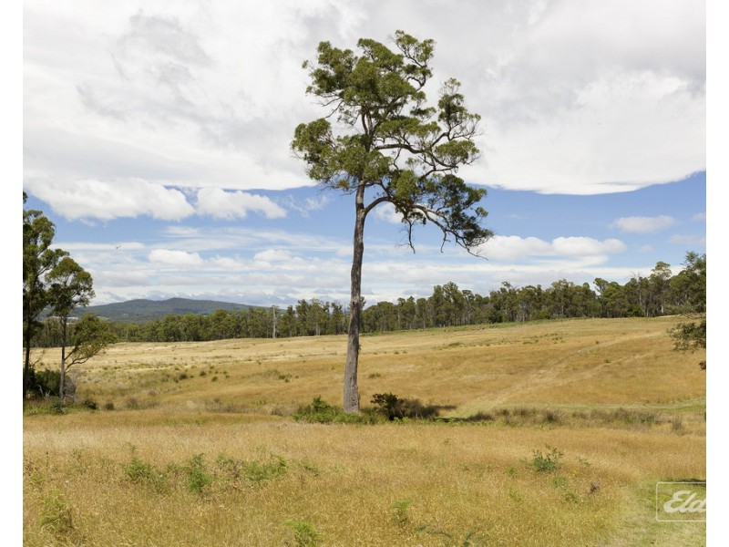 Lot 1 Browns Road, Loira TAS 7275