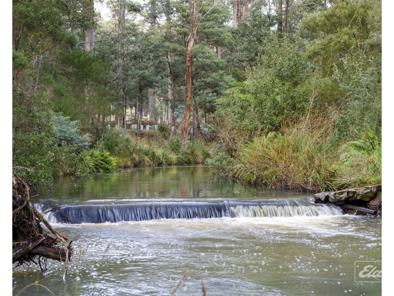 302 Brown Mountain Road, Karoola TAS 7267