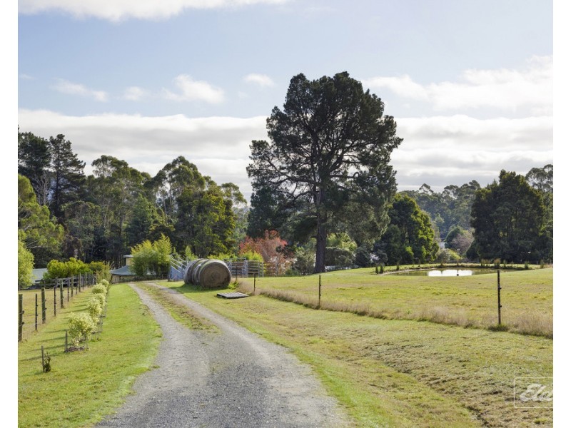 302 Brown Mountain Road, Karoola TAS 7267