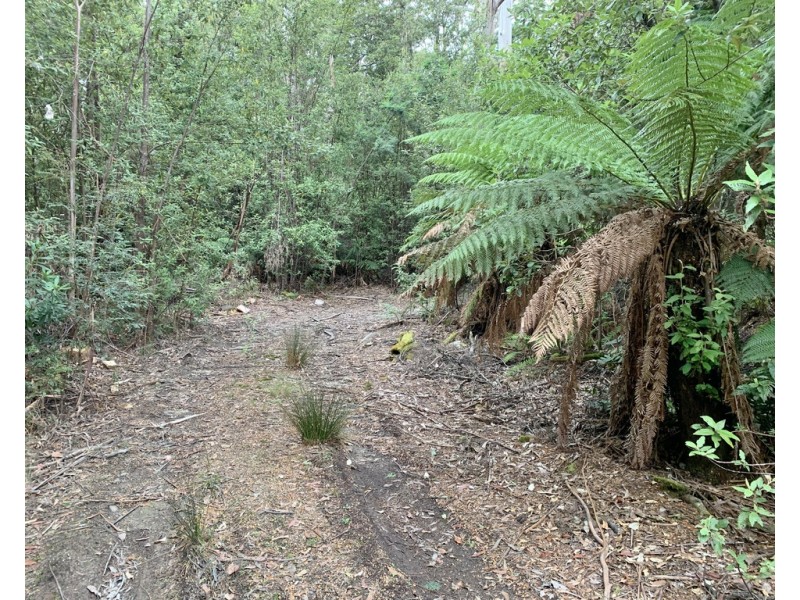 455 Mountain Road, Lilydale TAS 7268