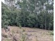 455 Mountain Road, Lilydale TAS 7268
