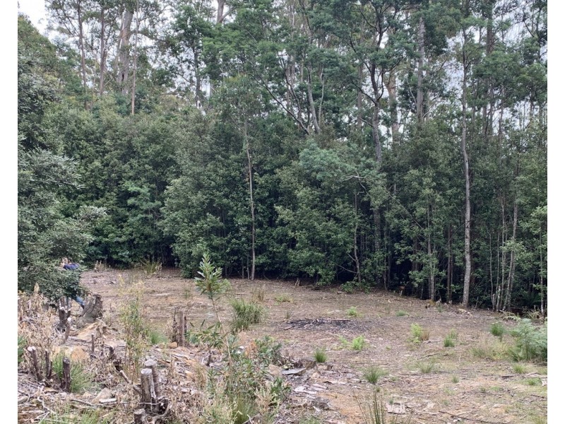 455 Mountain Road, Lilydale TAS 7268