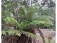 455 Mountain Road, Lilydale TAS 7268