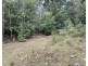 455 Mountain Road, Lilydale TAS 7268
