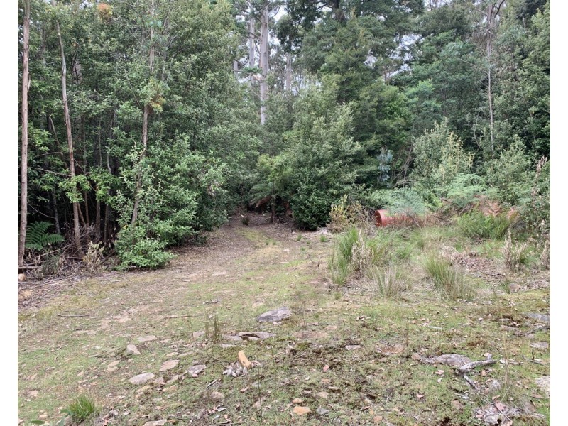 455 Mountain Road, Lilydale TAS 7268