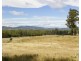 Lot A Browns Road, Loira TAS 7275