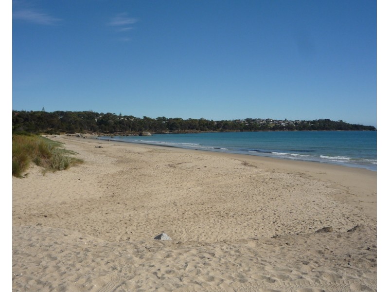 7 Frances Street, Bridport TAS 7262