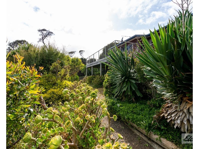 183 Port Davies Road, Emita TAS 7255