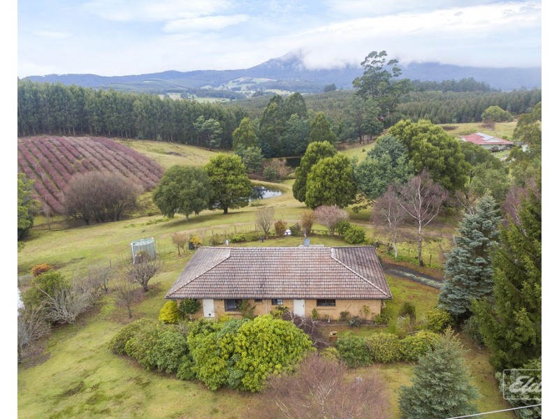 524 Golconda Road, Lilydale TAS 7268