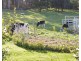 179 Nabowla Road, Nabowla TAS 7260