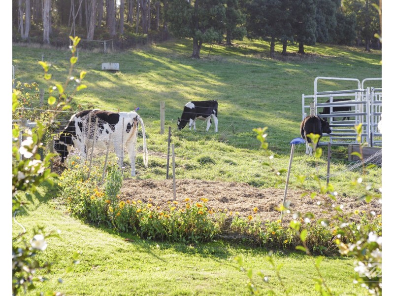 179 Nabowla Road, Nabowla TAS 7260