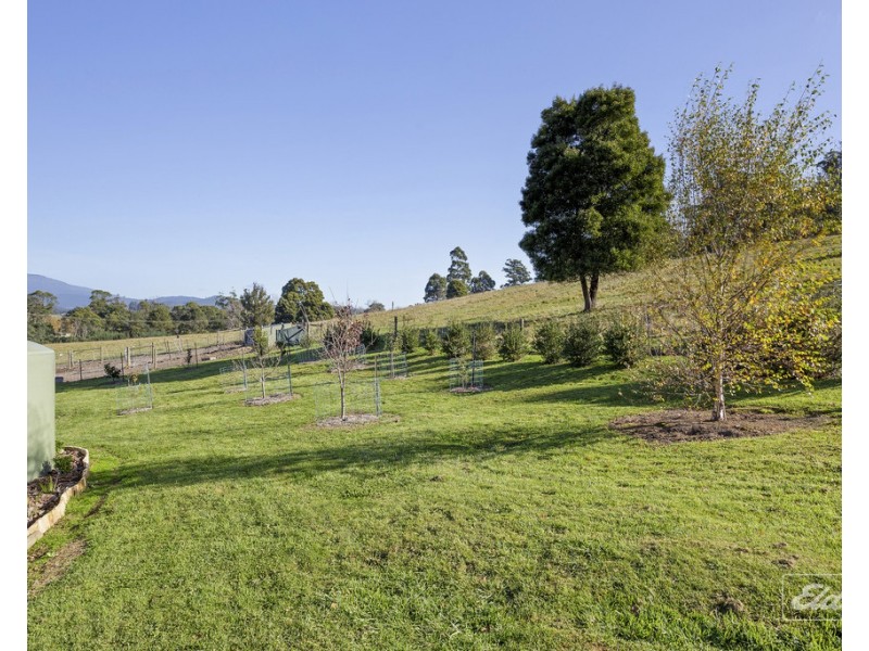 179 Nabowla Road, Nabowla TAS 7260