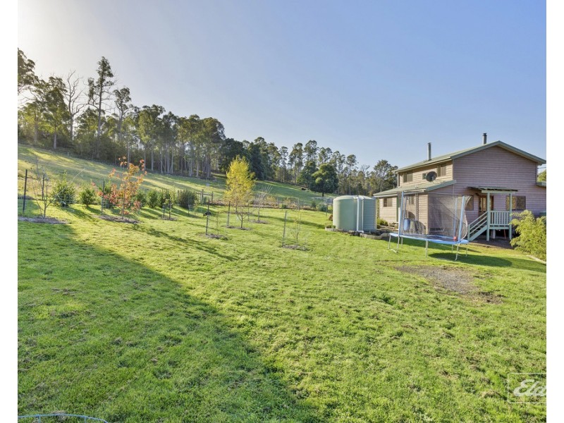 179 Nabowla Road, Nabowla TAS 7260