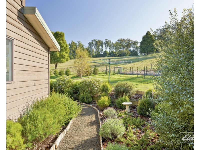 179 Nabowla Road, Nabowla TAS 7260