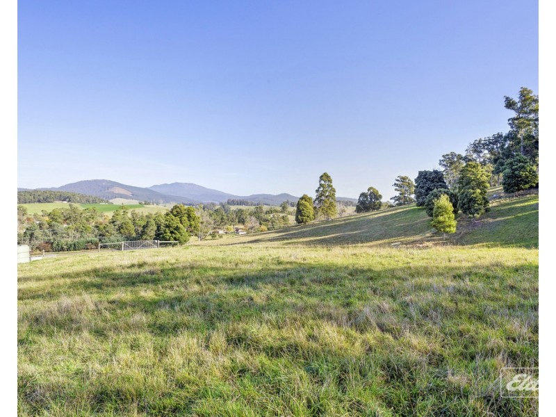 179 Nabowla Road, Nabowla TAS 7260