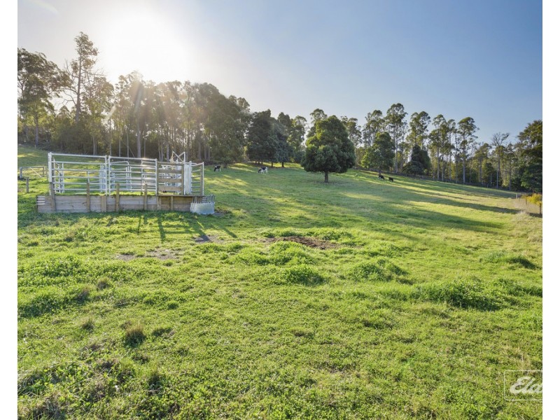 179 Nabowla Road, Nabowla TAS 7260