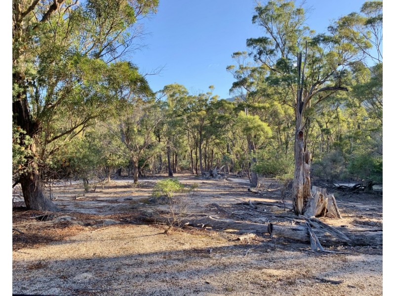 Lot 1 Leona Rd, Avoca TAS 7213