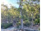 Lot 1 Leona Rd, Avoca TAS 7213