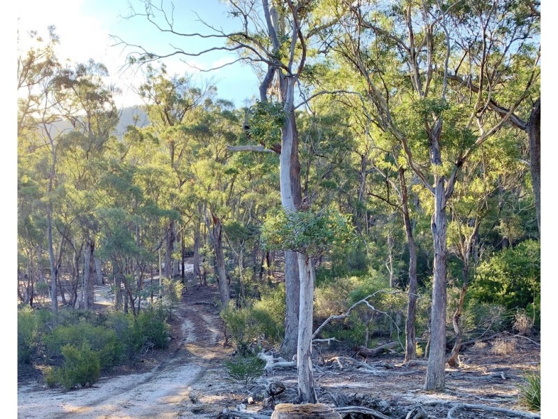 Lot 1 Leona Rd, Avoca TAS 7213