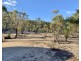 Lot 1 Leona Rd, Avoca TAS 7213