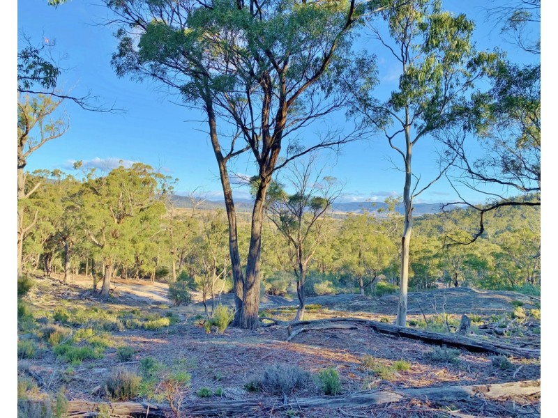 Lot 1 Leona Rd, Avoca TAS 7213