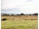 1069 Windermere Road, Swan Bay TAS 7252