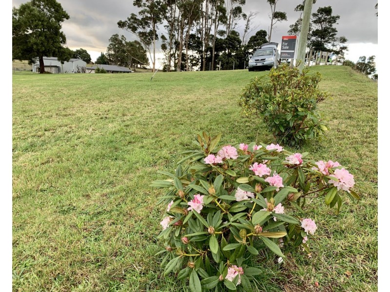 8 Clover Hill Road, Lebrina TAS 7254