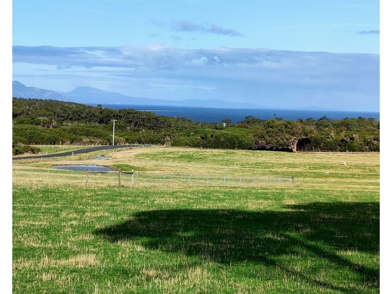 1651 Palana Road, Emita TAS 7255