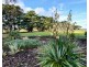 1651 Palana Road, Emita TAS 7255