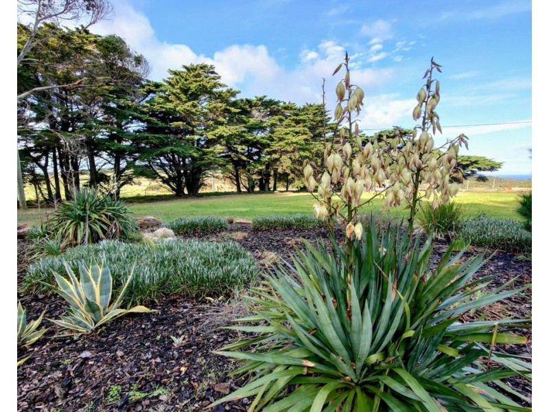 1651 Palana Road, Emita TAS 7255