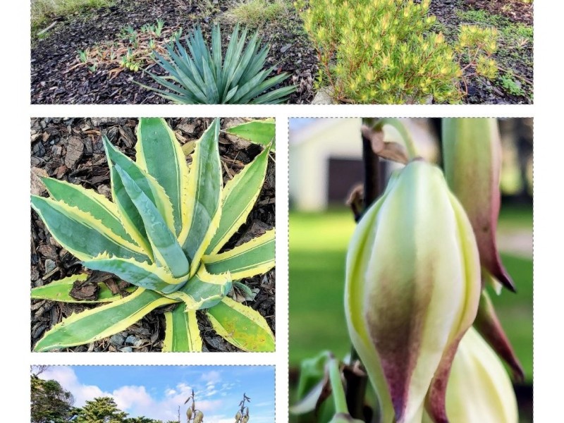 1651 Palana Road, Emita TAS 7255