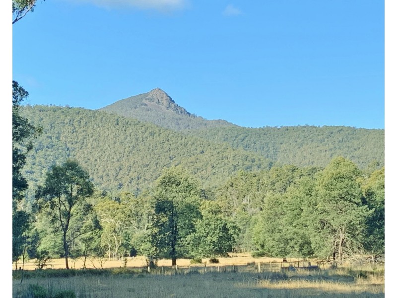 66 Tims Creek Road, Mathinna TAS 7214