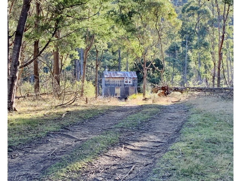 66 Tims Creek Road, Mathinna TAS 7214