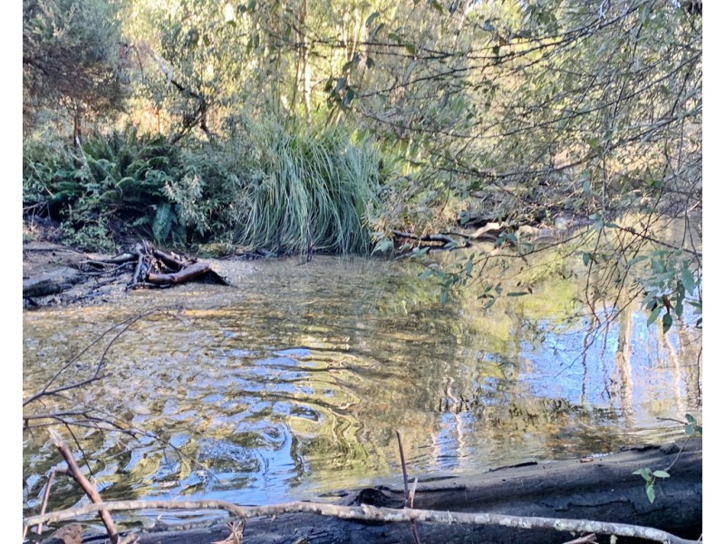 66 Tims Creek Road, Mathinna TAS 7214