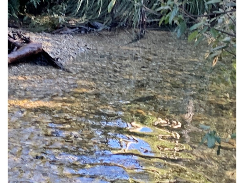 66 Tims Creek Road, Mathinna TAS 7214