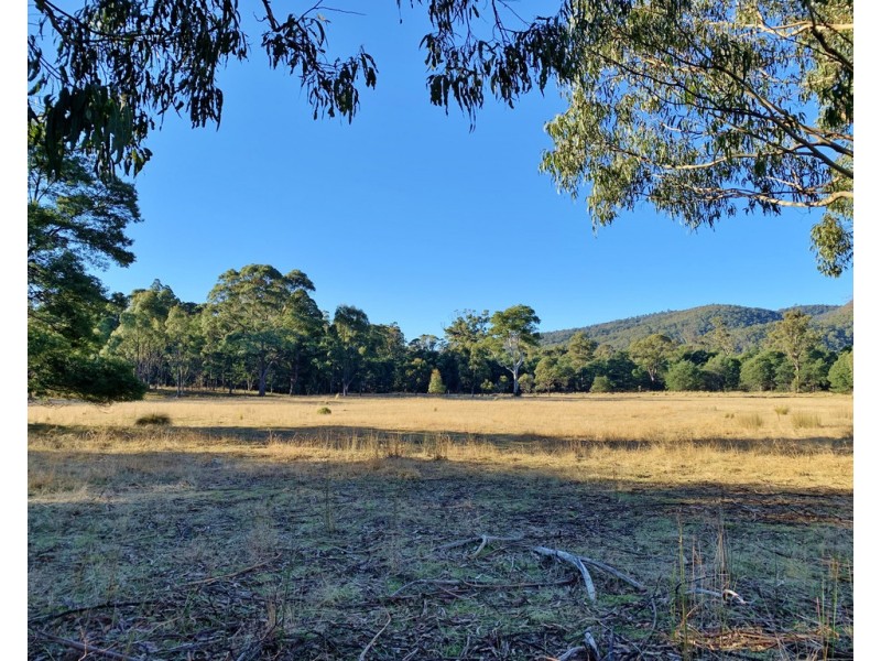 66 Tims Creek Road, Mathinna TAS 7214