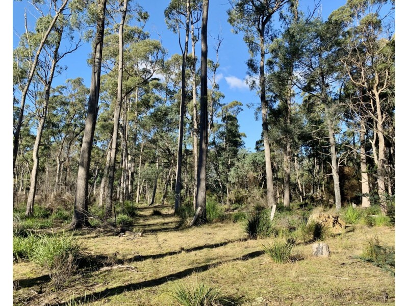 66 Tims Creek Road, Mathinna TAS 7214