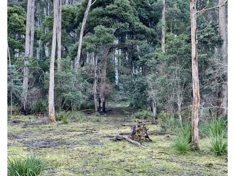 66 Tims Creek Road, Mathinna TAS 7214