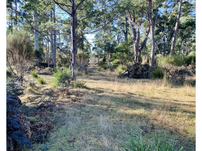 66 Tims Creek Road, Mathinna TAS 7214