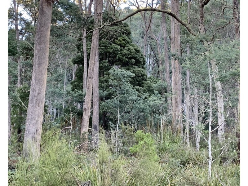 66 Tims Creek Road, Mathinna TAS 7214