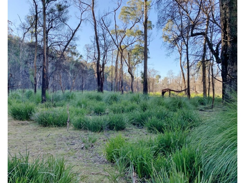 66 Tims Creek Road, Mathinna TAS 7214