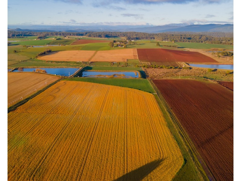 384 and 412 Port Sorell Road, Wesley Vale TAS 7307