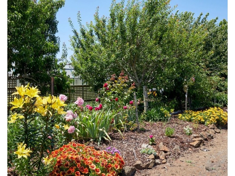 43 Main Street, Legerwood TAS 7263