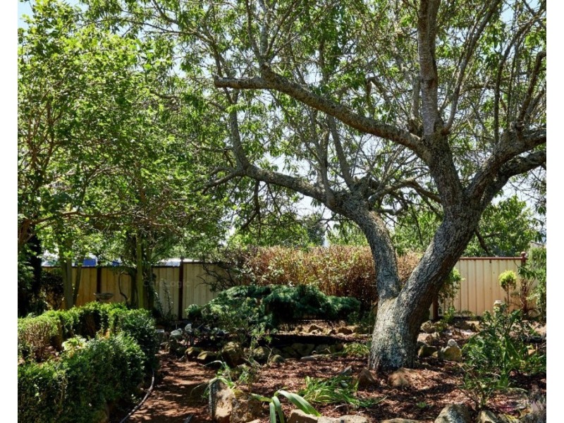 43 Main Street, Legerwood TAS 7263
