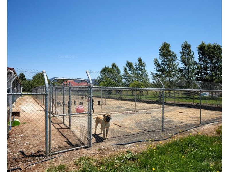 43 Main Street, Legerwood TAS 7263